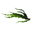 Aquamin