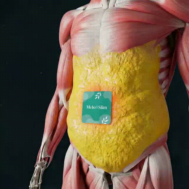 Melo Slim Patches Weight Loss