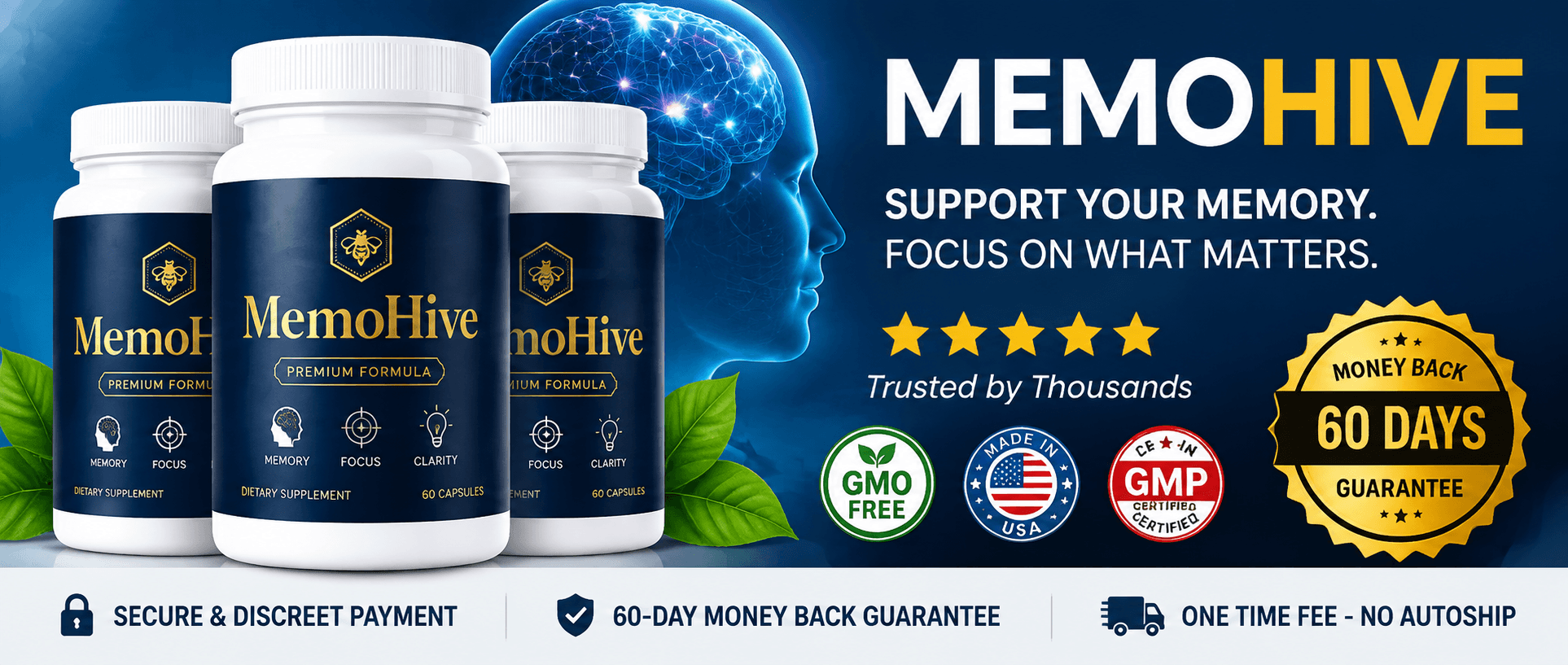 MemoHive Certification