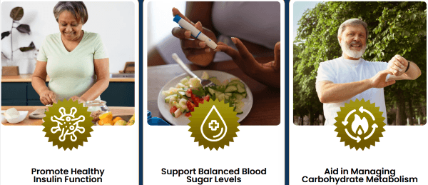 Olivaro Benefits