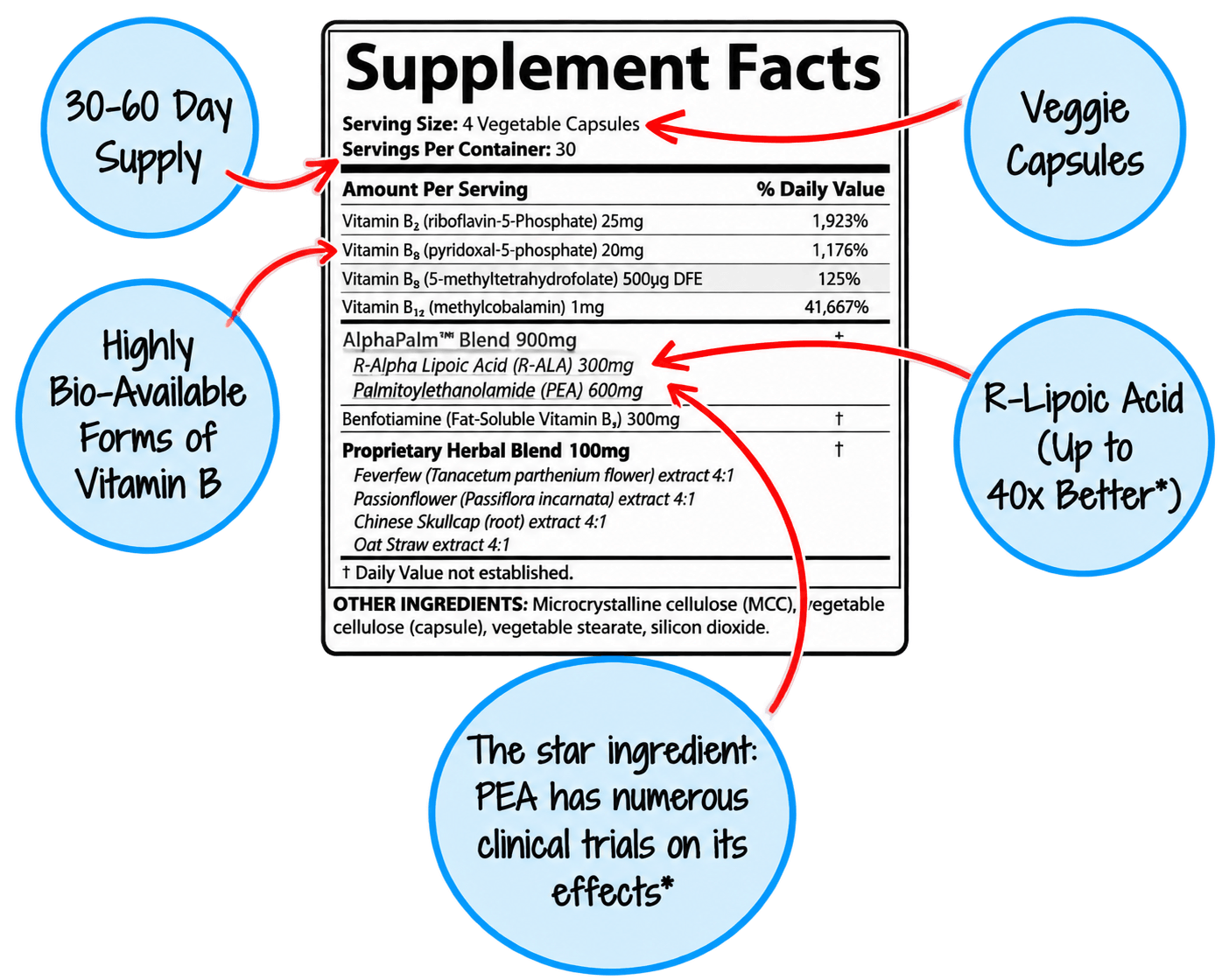SciatiEase Supplement Facts