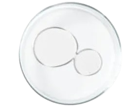 Dermaxyl